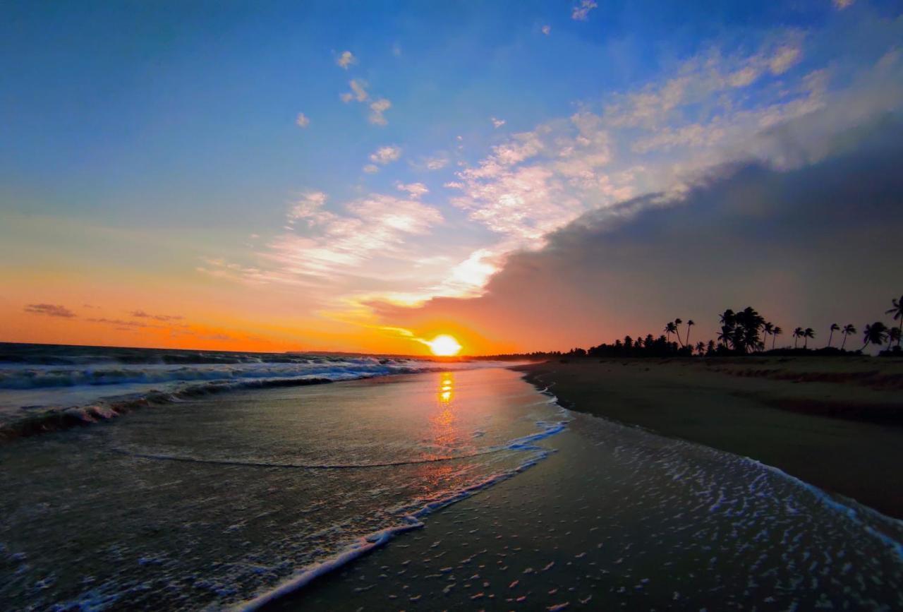 Sleeping Elephant Beach Resort Tangalle Dış mekan fotoğraf