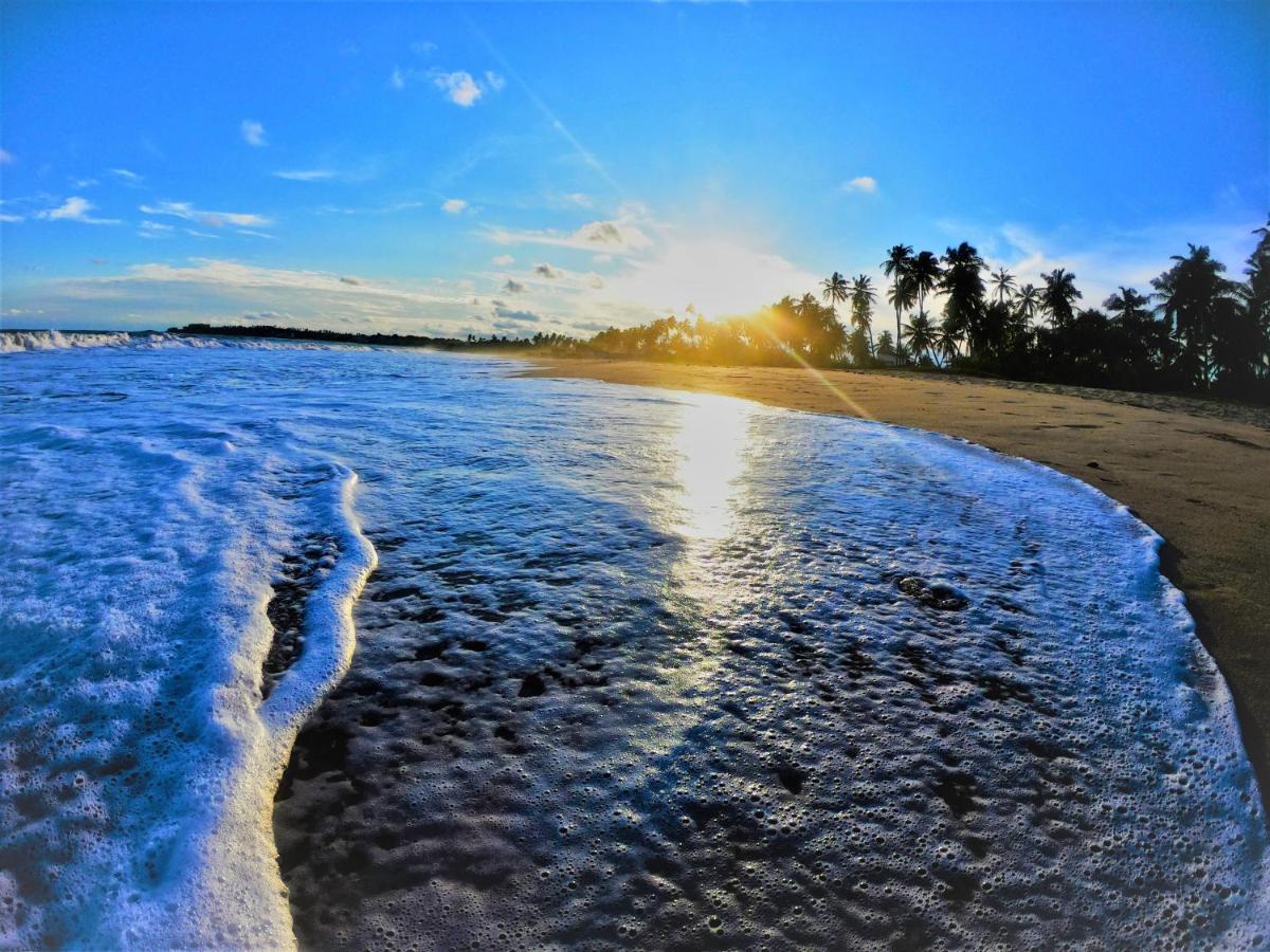 Sleeping Elephant Beach Resort Tangalle Dış mekan fotoğraf