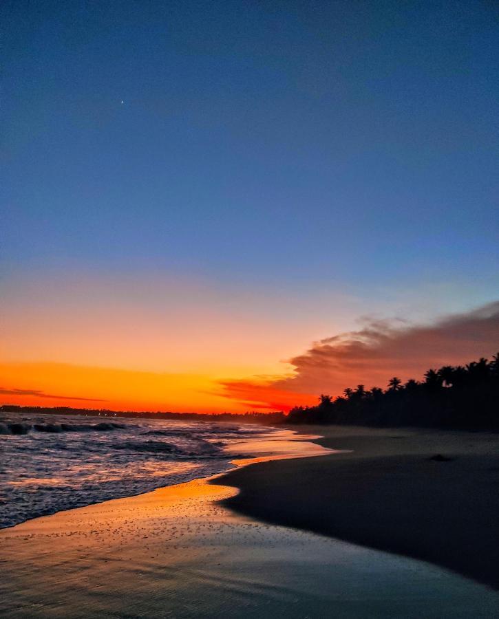 Sleeping Elephant Beach Resort Tangalle Dış mekan fotoğraf