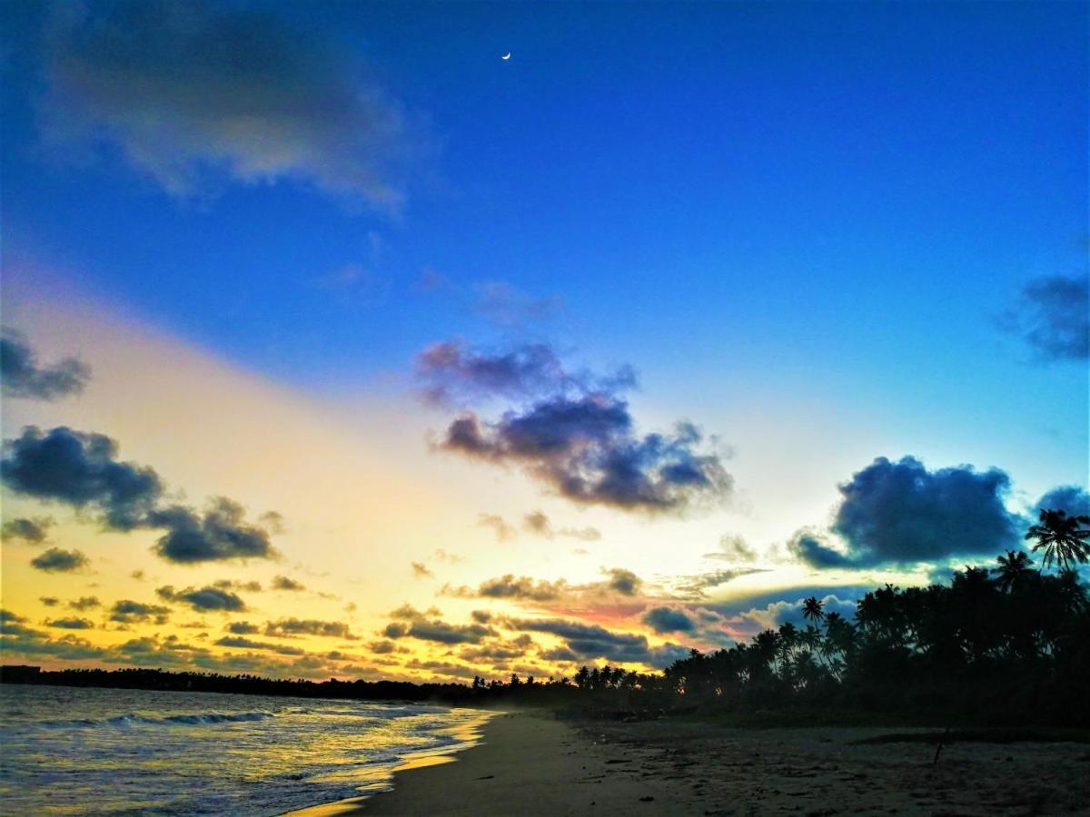 Sleeping Elephant Beach Resort Tangalle Dış mekan fotoğraf