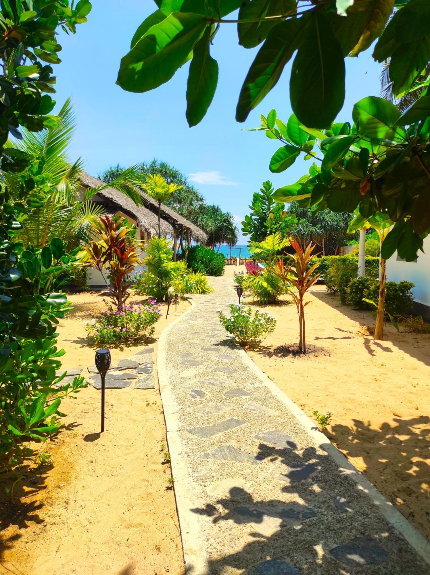 Sleeping Elephant Beach Resort Tangalle Dış mekan fotoğraf